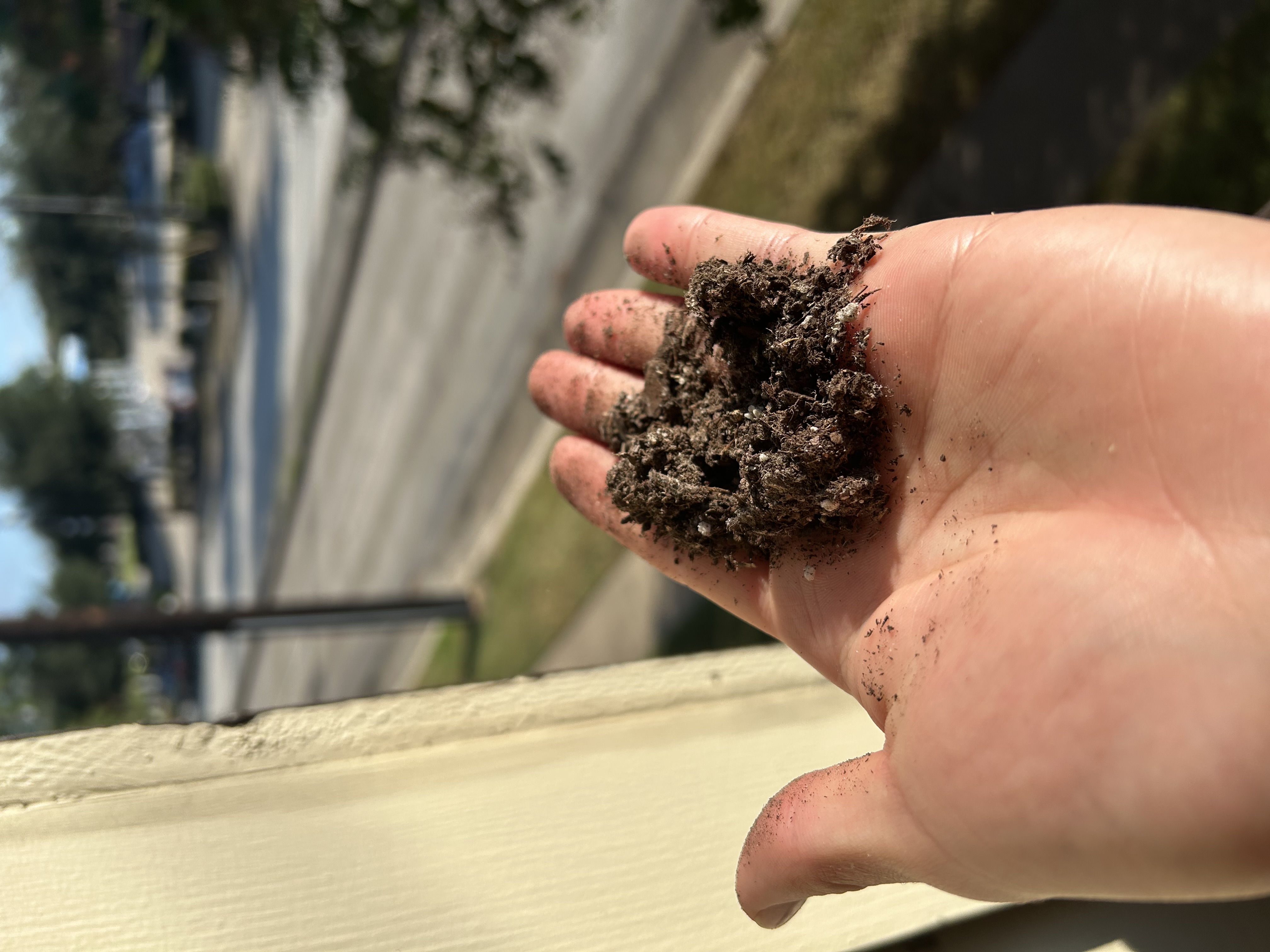 Dirt for Sale