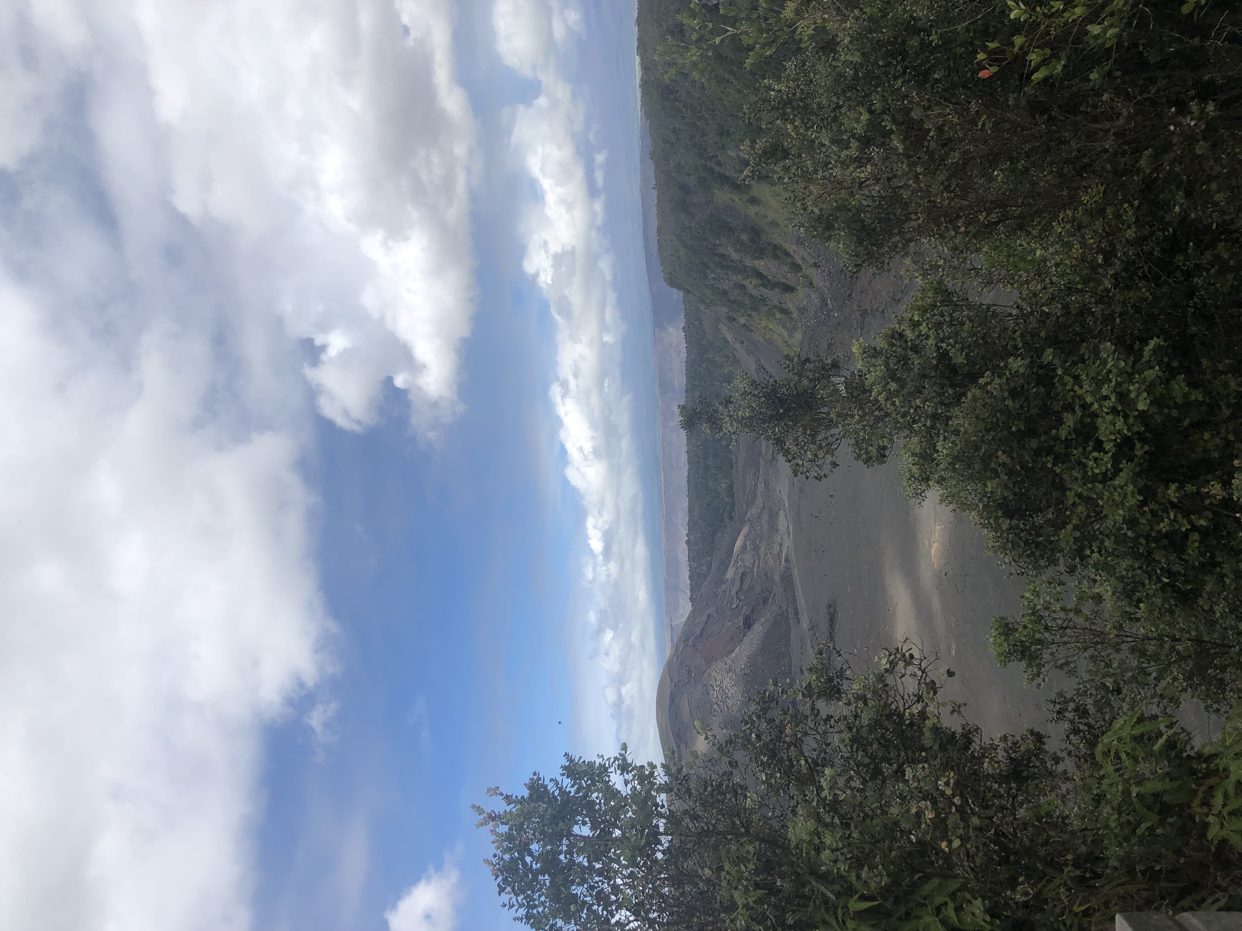 Picture from Hawaii